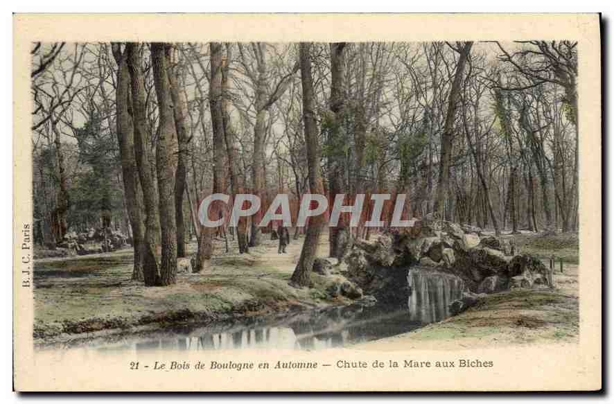CPA Le Bois de Boulogne en Automne Chute de la Mare aux Biches 