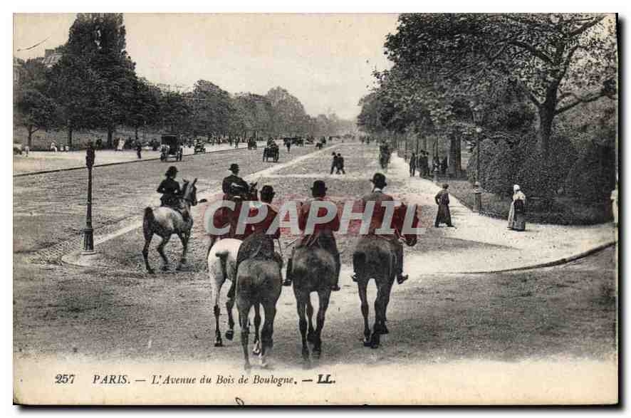 CPA Paris L'Avenue du Bois de Boulogne Chevaux