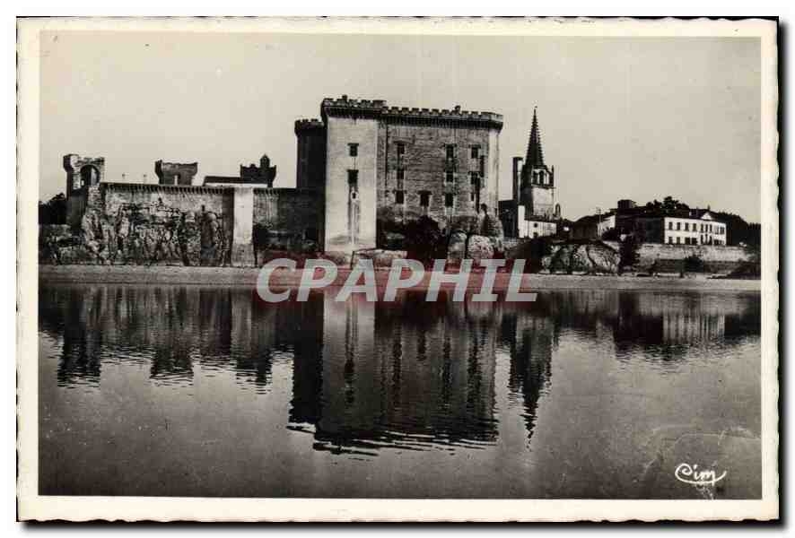 CPA Tarascon sur Rhone (B du Rh) Chat au dit du Roi Rene (cote du Rhone)
