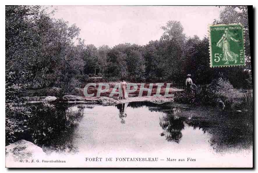 CPA Foret de Fontainebleau Mare aux Fees