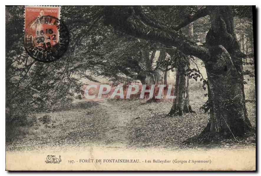 CPA Foret de Fontainebleau Les Belleydier (Gorges d'Apremont)