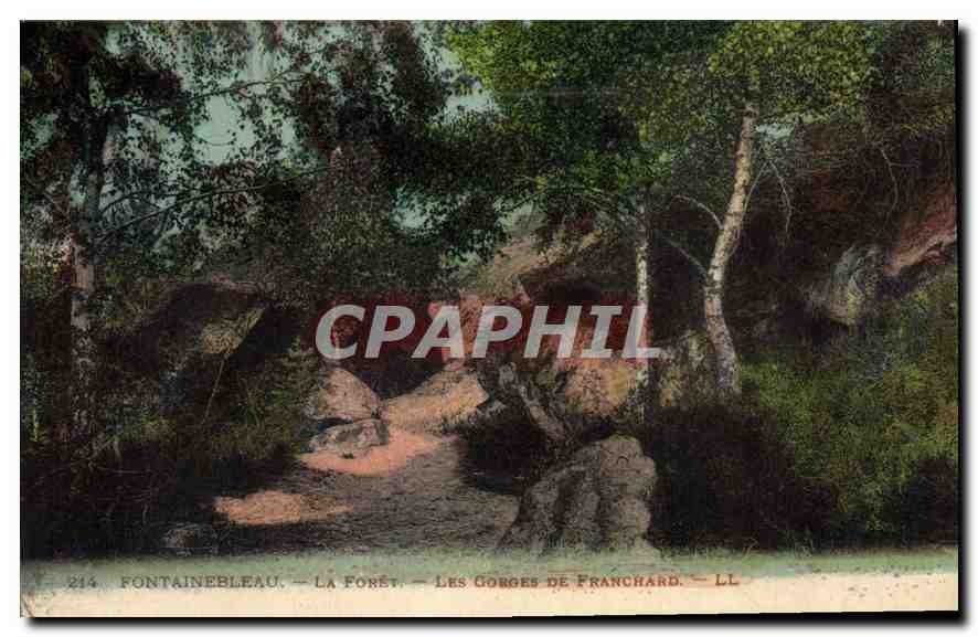 CPA Fontainebleau La Foret Les Gorges de Franchard