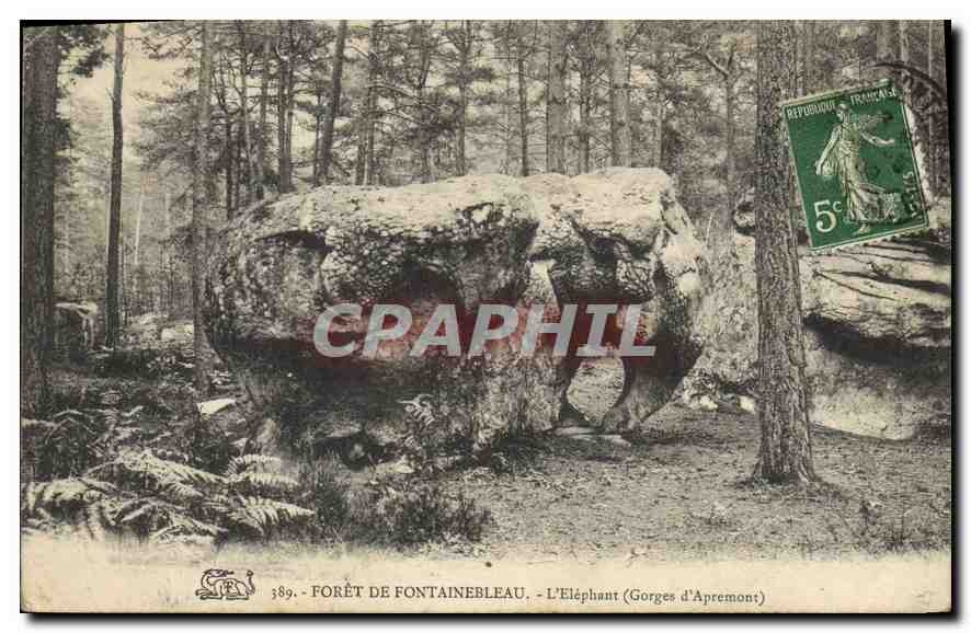 CPA Foret de Fontainebleau L'Elephant (Gorges d'Apremont)