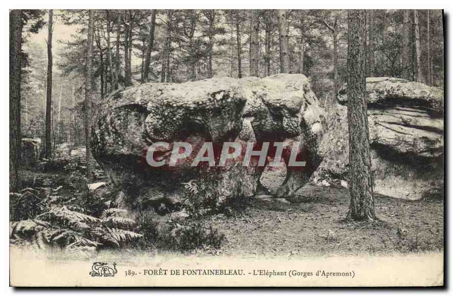 CPA Foret de Fontainebleau L'Elephant (Goerges d'Apremont)