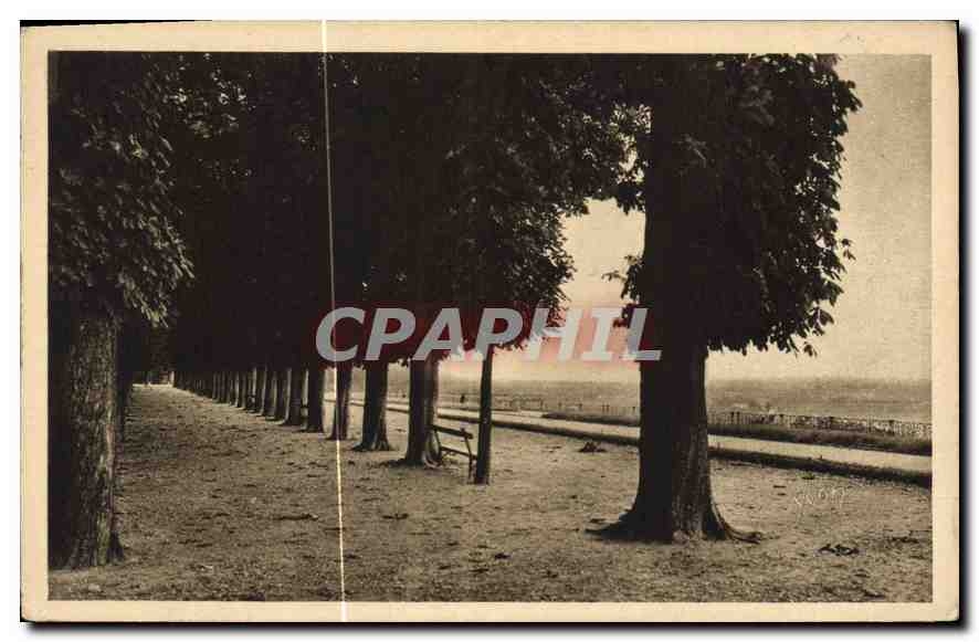 CPA Saint Germain en Laye Les Quinconces de la Terrasse