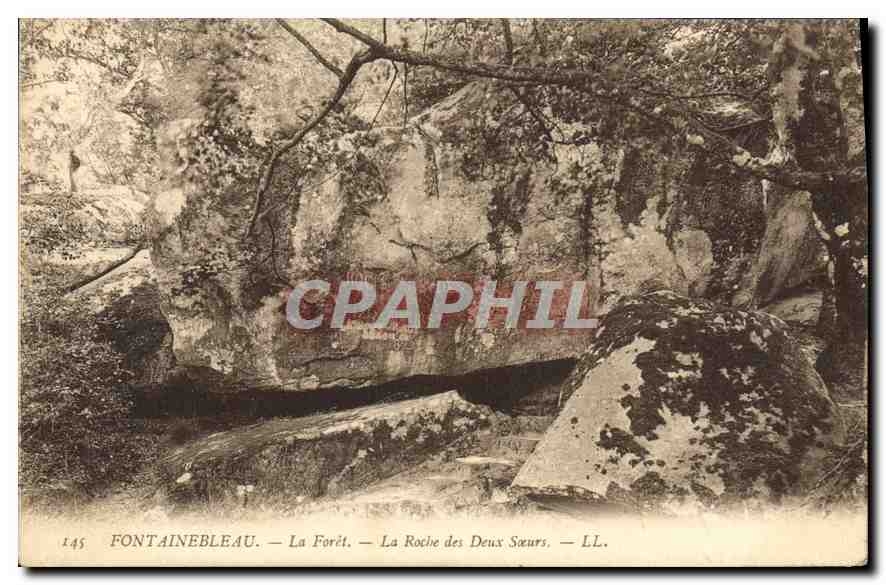 CPA Fontainebleau La Foret La Roche des Deux Soeurs