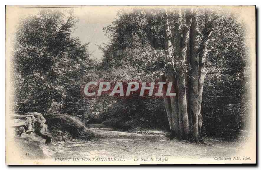 CPA Foret de Fontainebleau Le Nid de l'Aigle