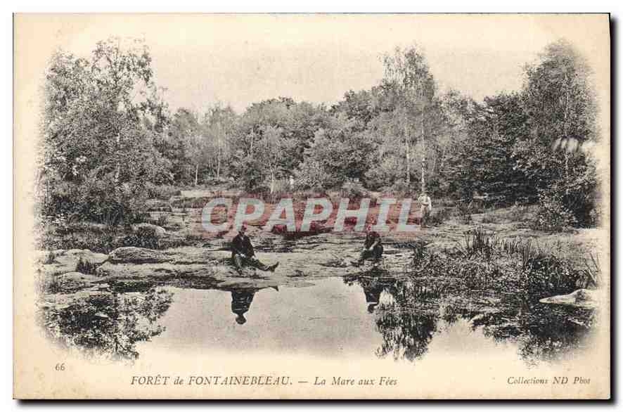 CPA Foret de Fontainebleau La Mare aux Fees