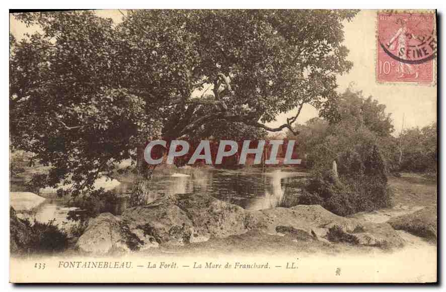 CPA Fontainebleau La Foret La Marc de Franchard
