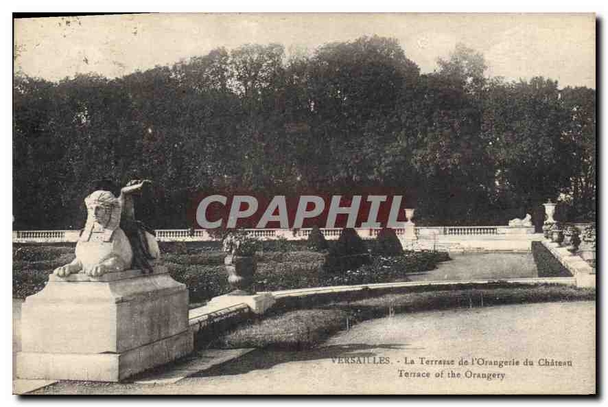 CPA Versailles la Terrasse de l'Orangerie du Chateau 