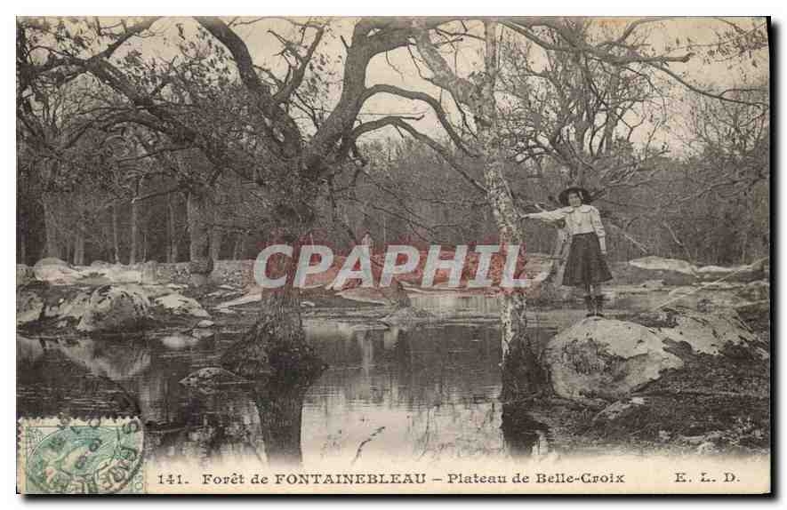 CPA Foret de Fontainebleau Plateau de Belle Croix