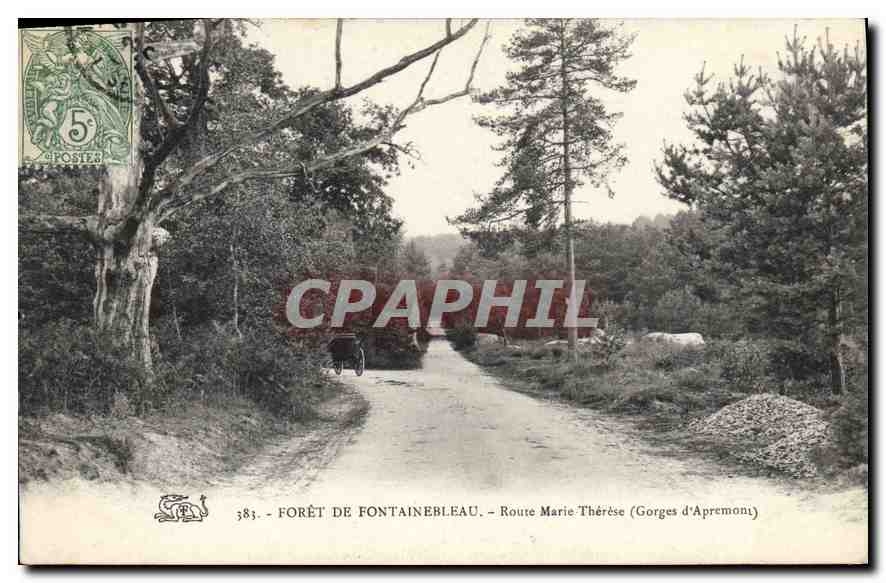 CPA Foret de Fontainebleau Route Marie Therese