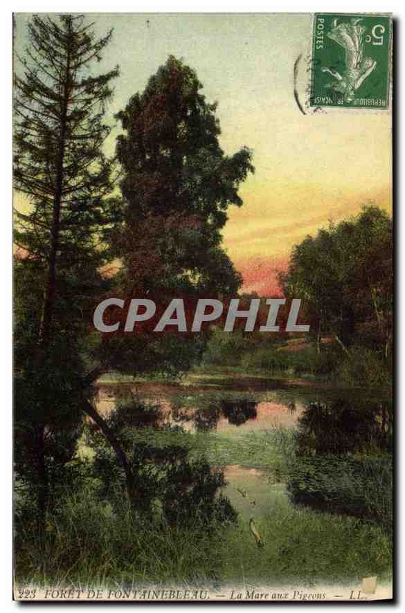 CPA Foret de Fontainebleau La Marc aux Pigeons