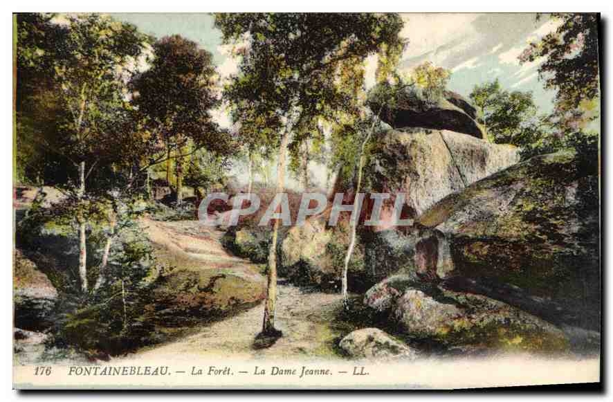 CPA Fontainebleau La Foret La Dame Jeanne