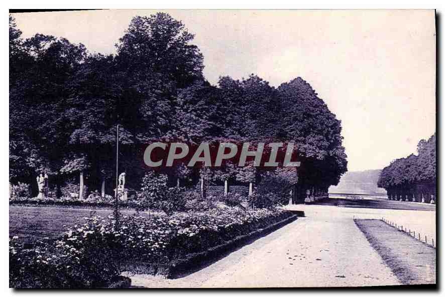 CPA Parc de Versailles L'Allee de l'Automne et Tapis vert 