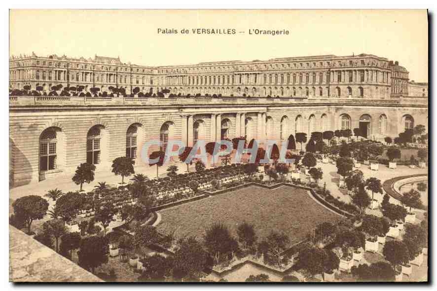 CPA Palais de Versailles L'Orangerie 