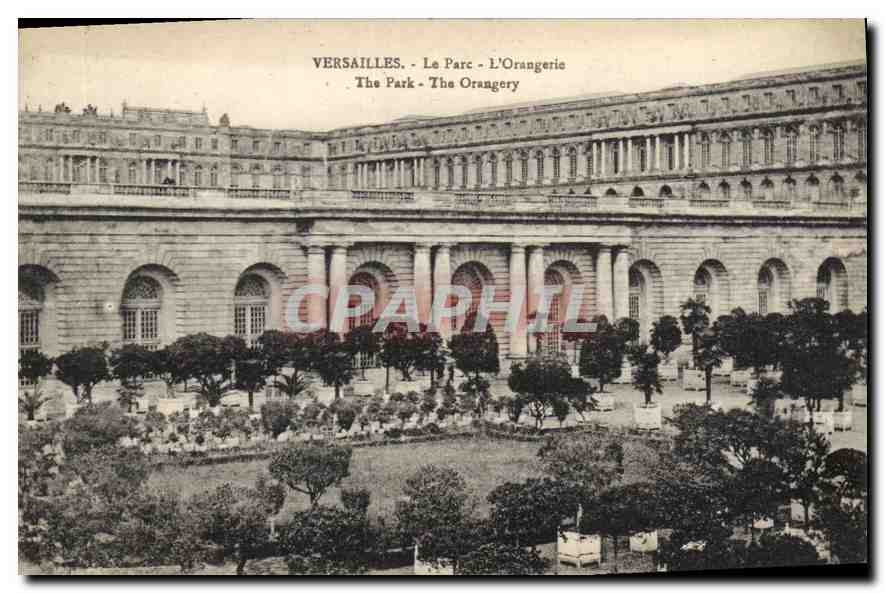 CPA Versailles Le Parc L'Orangerie 