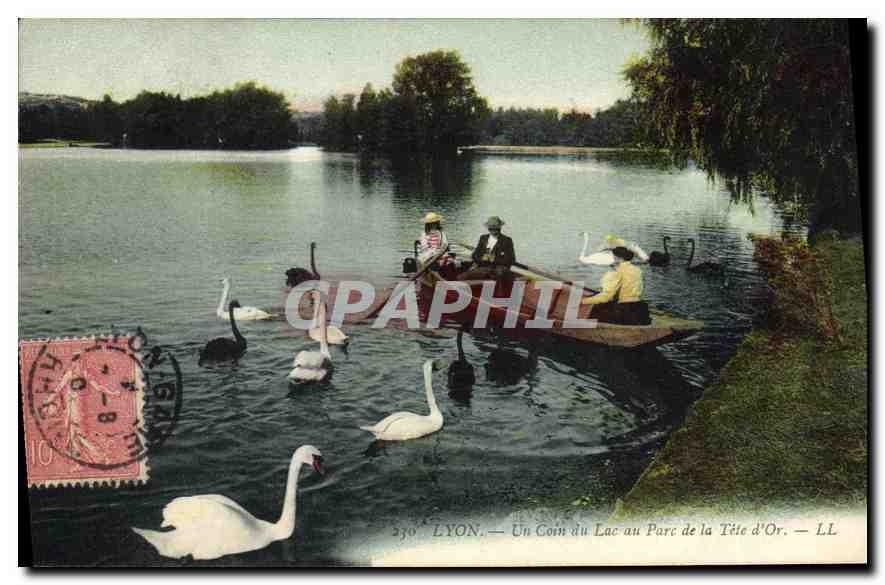 CPA Lyon Un Coin du Lac au Parc de la Tete d'Or 