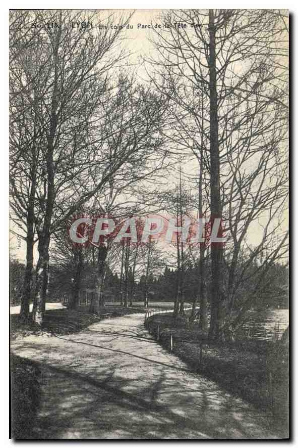 CPA Lyon Un Coin du Parc de la Tete d'Or 