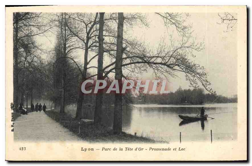 CPA Lyon Parc de la Tete d'Or Promenade et Lac 