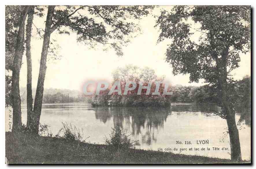 CPA Lyon Un Coin du Parc et lac de la Tete d'Or 