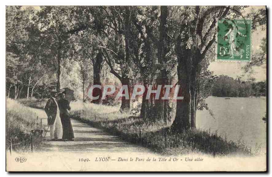 CPA Lyon Dans le Parc de la Tete d'Or Une allee 