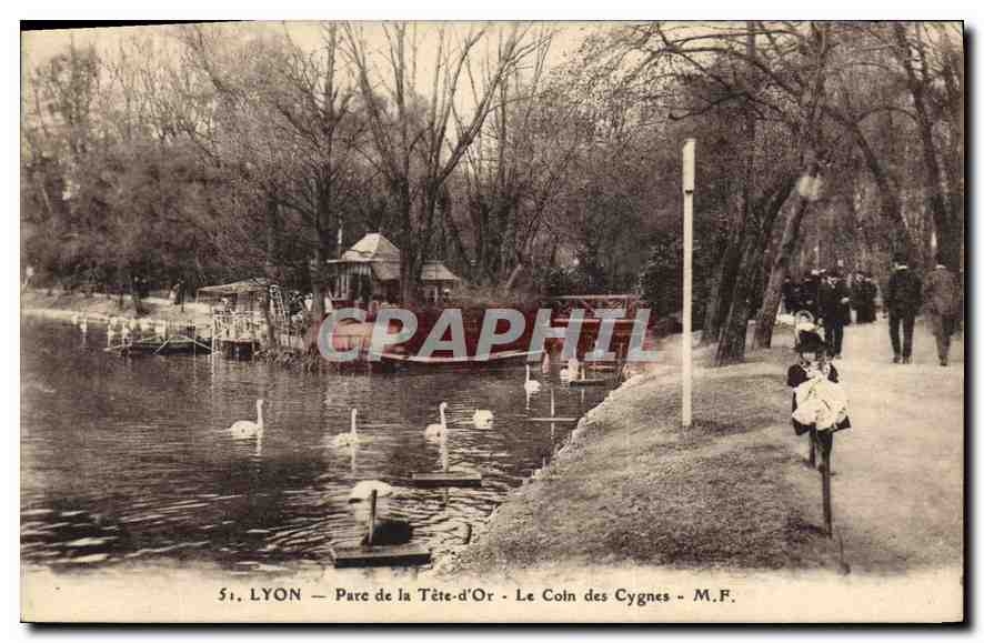 CPA Lyon Parc de la Tete d'Or Le Coin des Cygnes 
