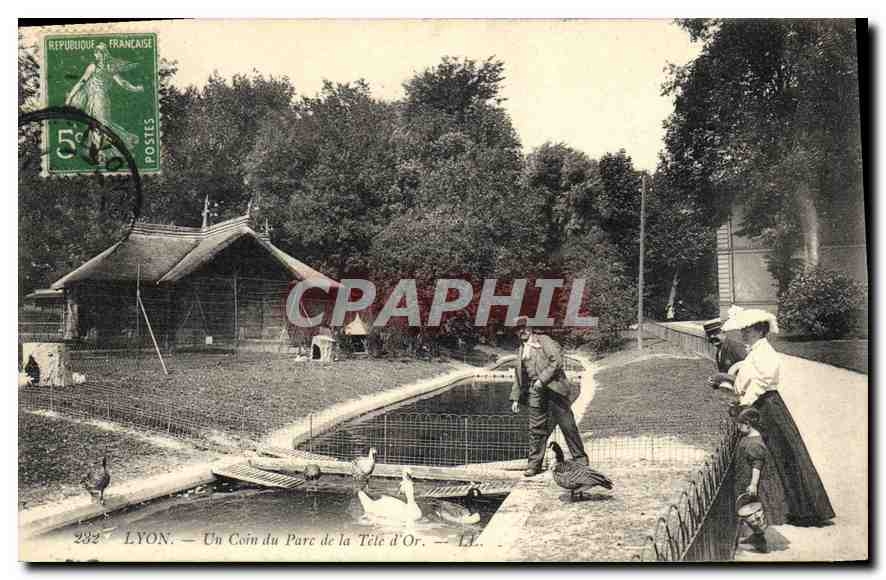 CPA Lyon Un Coin du Parc de la Tete d'Or