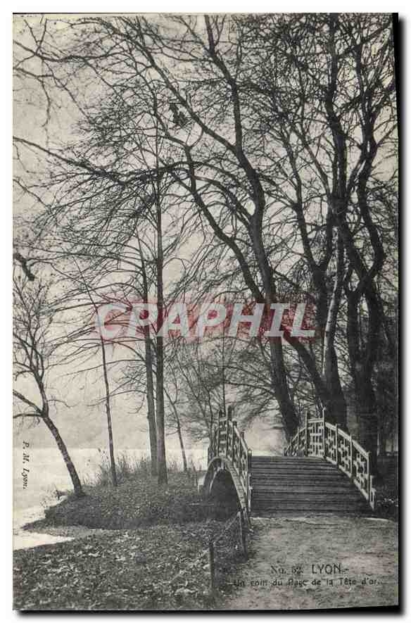 CPA Lyon Un Coin du Parc de la Tete d'Or