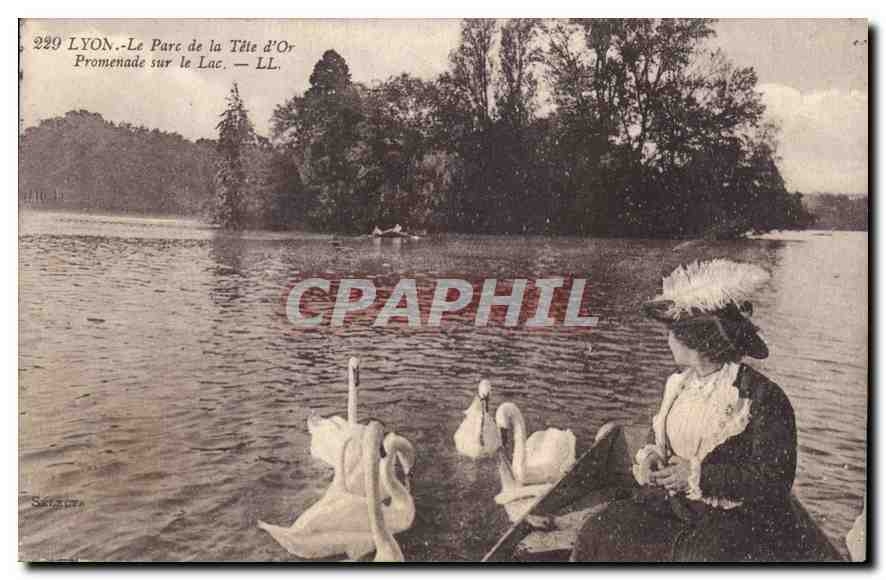 CPA Lyon Parc de la Tete d'Or Promenade sur le Lac 