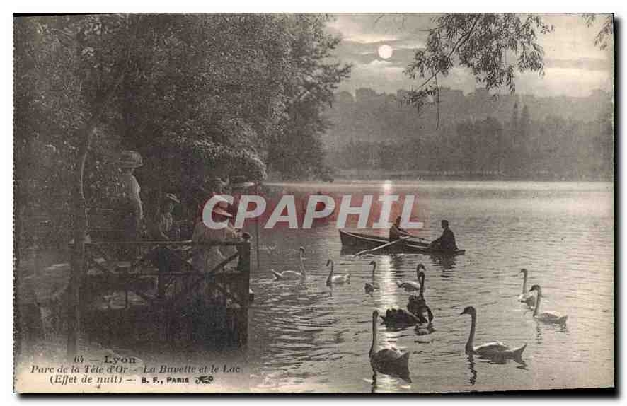 CPA Lyon Parc de la Tete d'Or La Bavette et le Lac Effet de nuit 