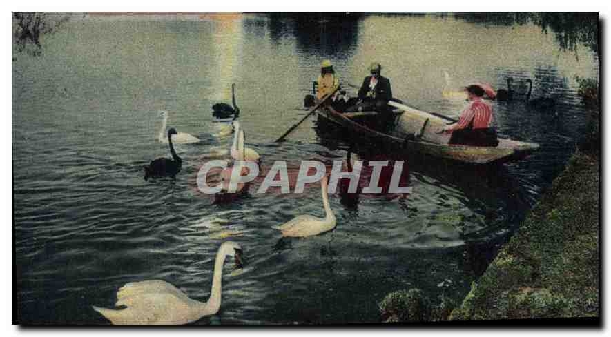 CPA Lyon Un Coin du Lac au Parc de la Tete d'Or 