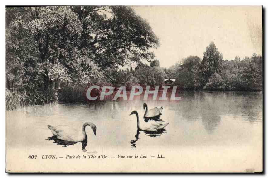 CPA Lyon Parc de la Tete d'Or Vue sur le Lac 