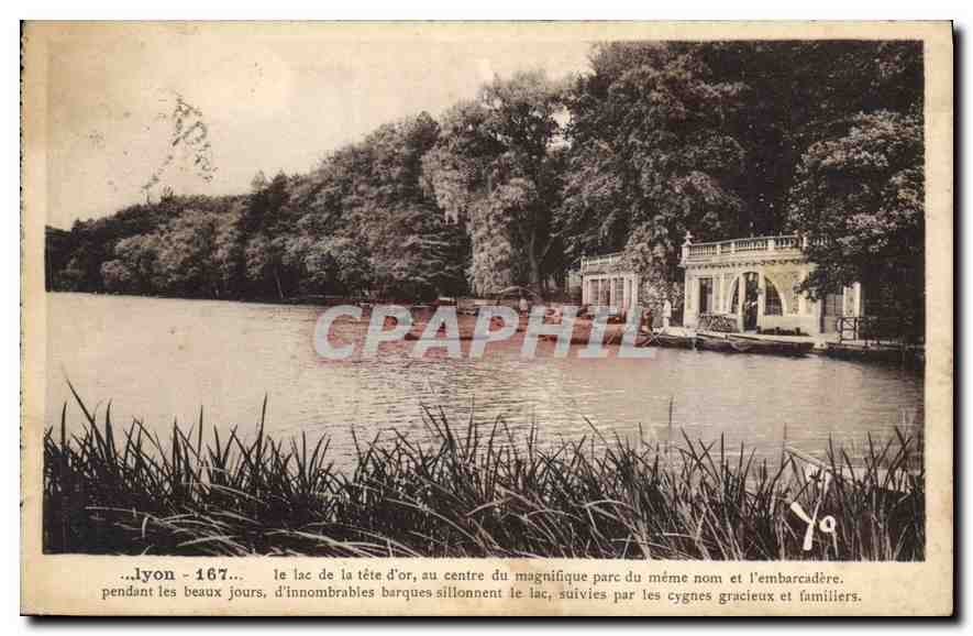 CPA Lyon le lac de la Tete d'Or au centre du magnifique parc du meme nom et l'embarcadere 