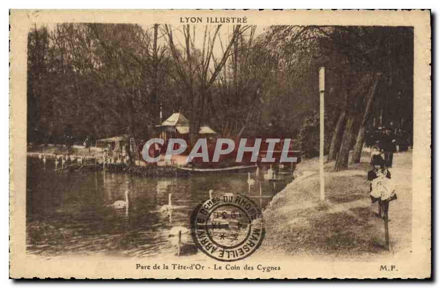 CPA Lyon Parc de la Tete d'Or Le Coin des Cygnes