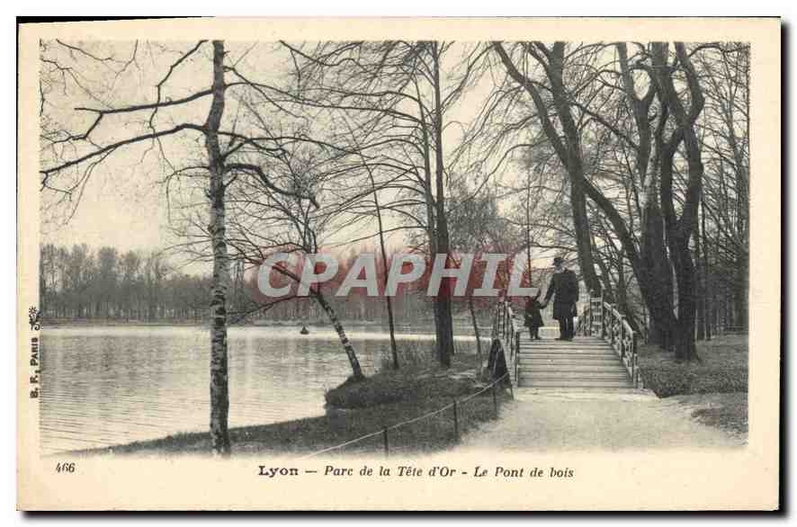 CPA Lyon Parc de la Tete d'Or Le Pont de Bois 