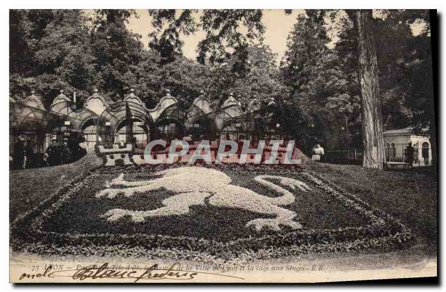 CPA Lyon Parc de la Tete d'Or 