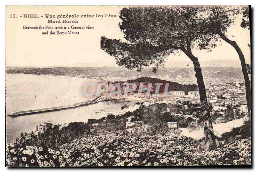 CPA Nice Vue generale entre les Pins Mont Boron