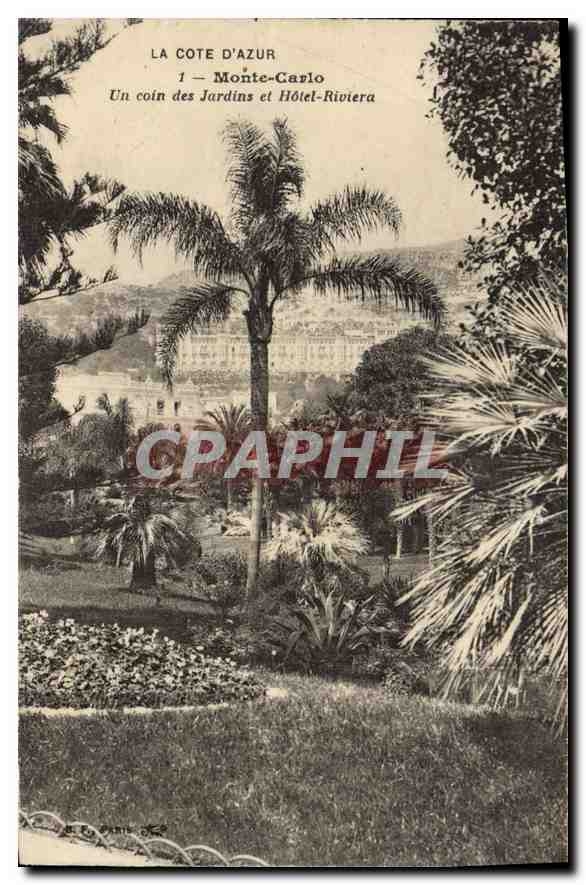 CPA La Cote d'Azur Monte Carlo un coin des jardins et hotel Riviera 
