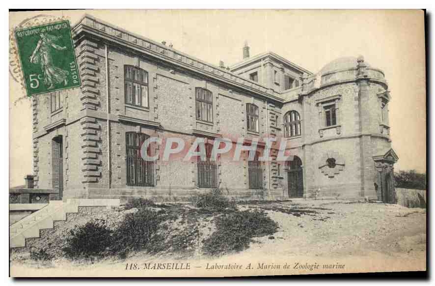 CPA Marseille Laboratoire A Marlon de Zoologie Marine 