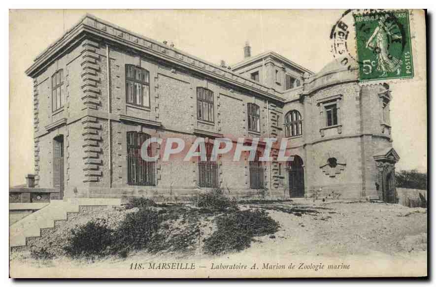 CPA Marseille Laboratoire A Marlon de Zoologie Marine 