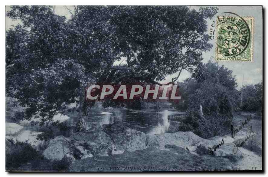 CPA Fontainebleau La Mare de Franchard 