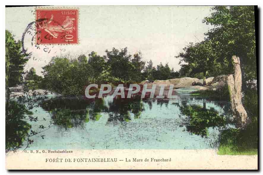 CPA Foret de Fontainebleau La Mare de Franchard 