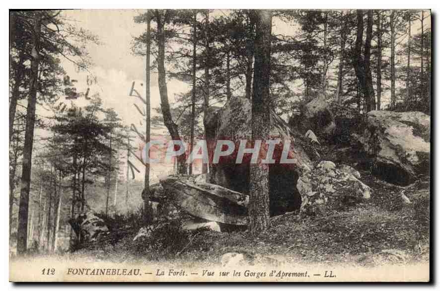 CPA Fontainebleau La Foret Vue sur les Gorges d'Apremont