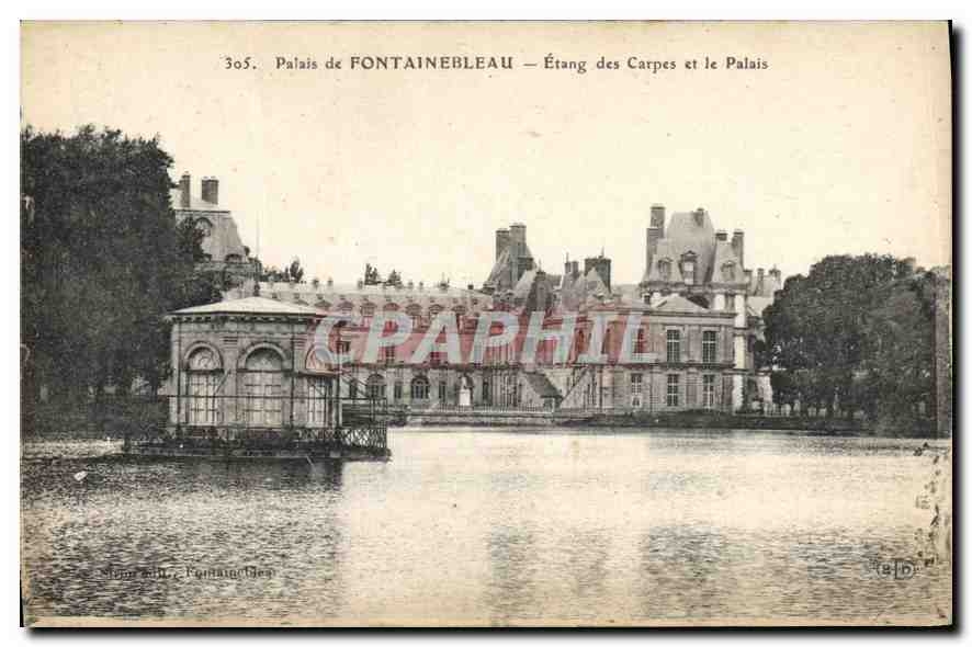 CPA Palais de Fontainebleau L'Etang des Carpes et le Palais 