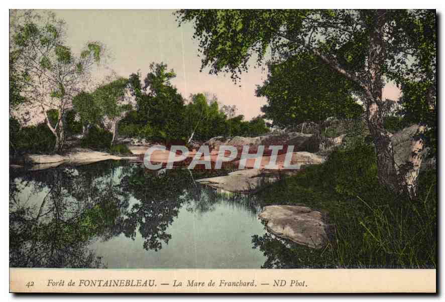 CPA Foret de Fontainebleau La mare de Franchard 