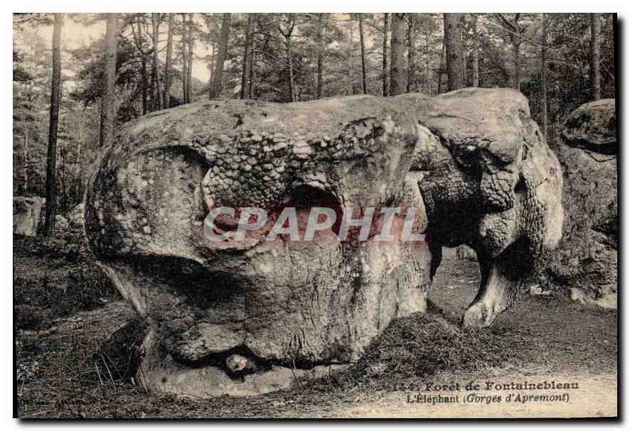 CPA Foret de Fontainebleau L'Elephant 