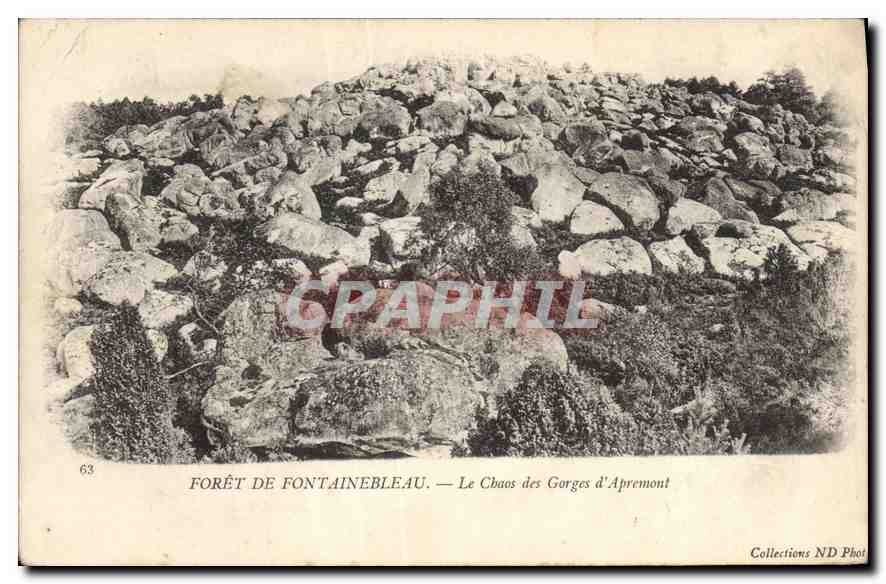 CPA Foret de Fontainebleau Le Chaos des Gorges d'Apremont 