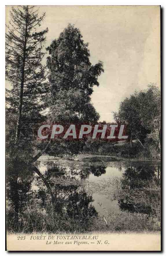 CPA Foret de Fontainebleau La Mare aux Pigeons 