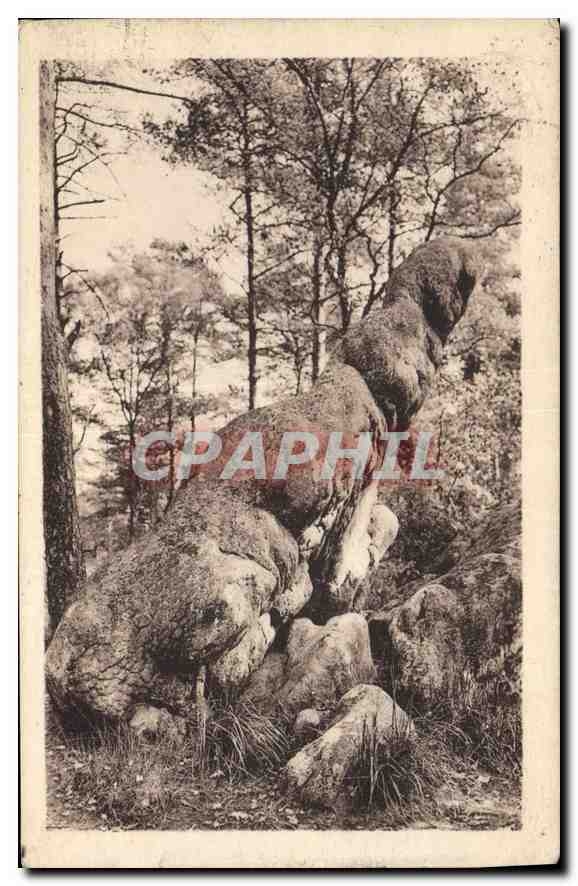 CPA Foret de Fontainebleau La Dame d'Apemont 